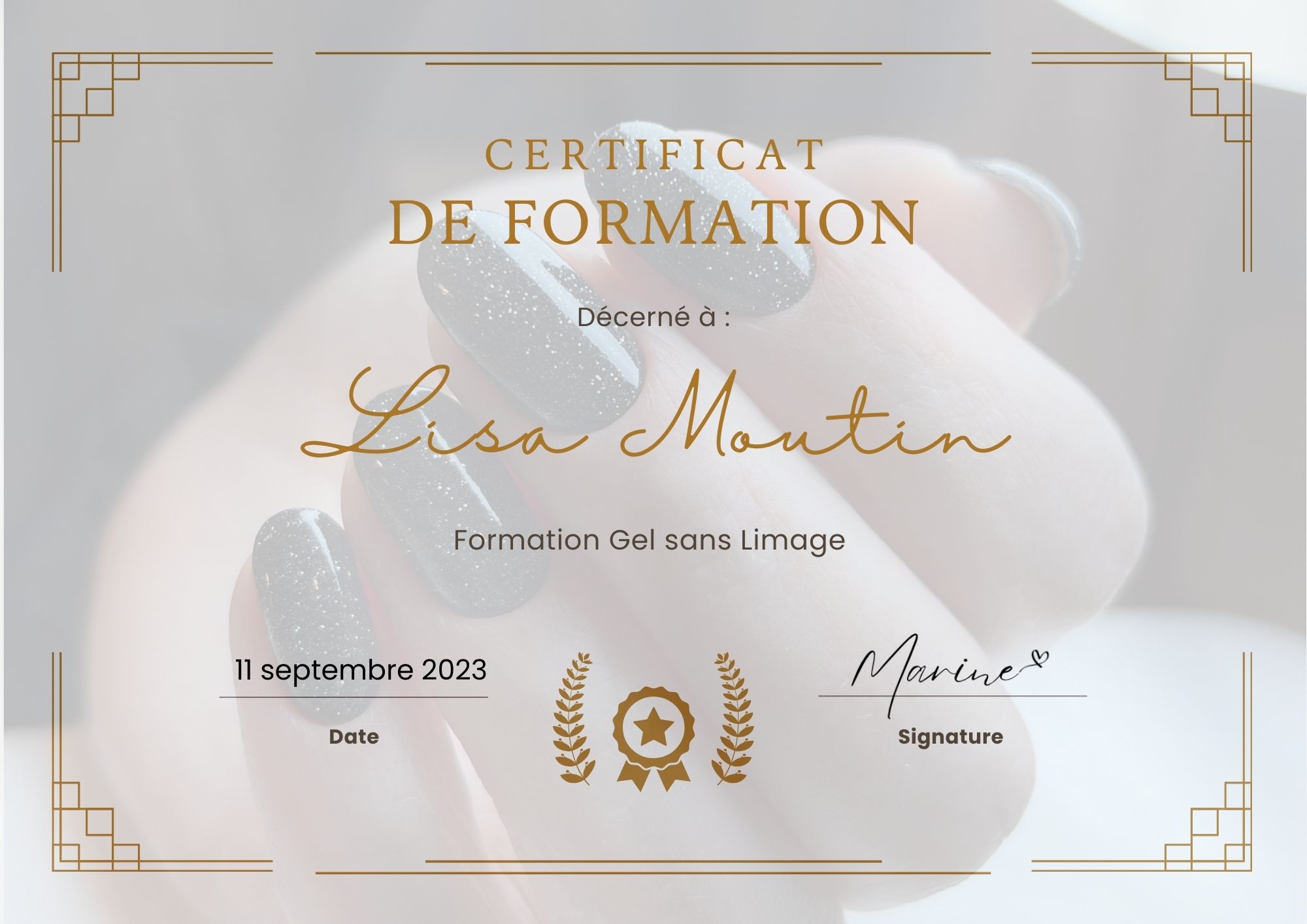 certificat de formation gel sans limage